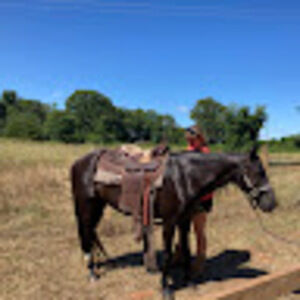 Meet your Posher, Noemia